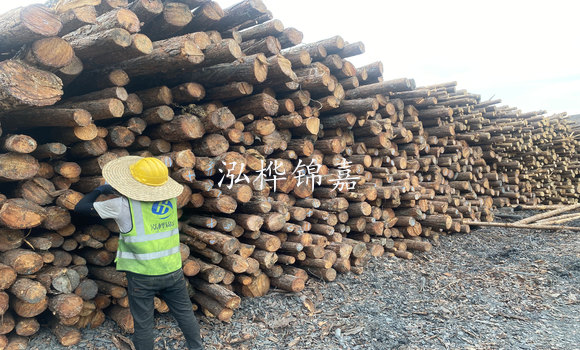 松木樁是什么，松木樁的用途有哪些-松木樁介紹