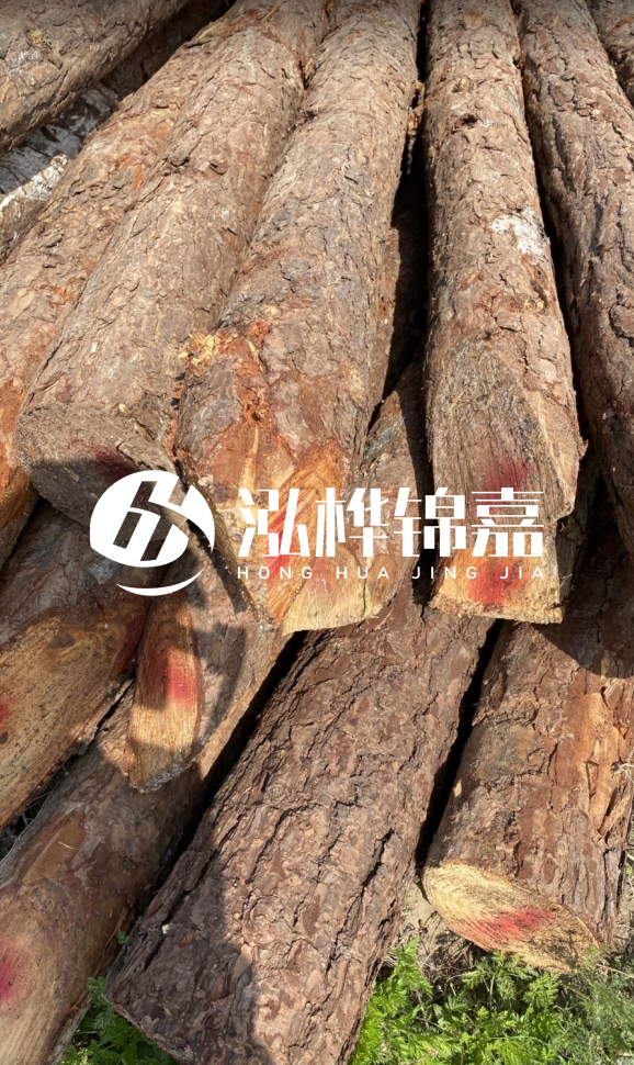 <strong>松木樁和杉木樁的用途區(qū)別？哪個(gè)更適合打樁用？</strong>
