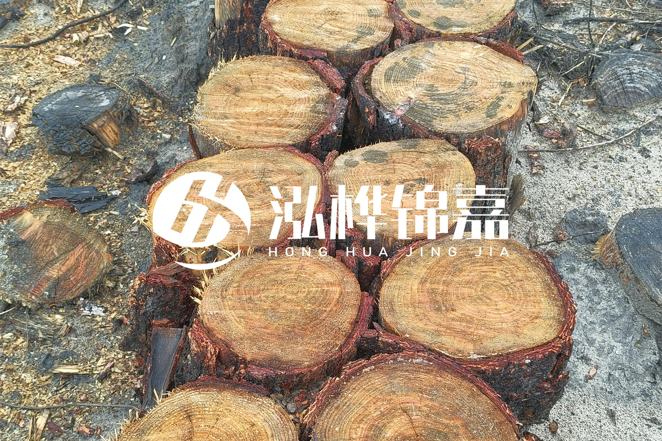 浙江臺州有清淤的公司嗎？浙江臺州有清淤施工隊嗎？