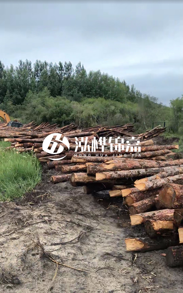 甘肅河道清淤工程公司-為什么要進行河道清淤？