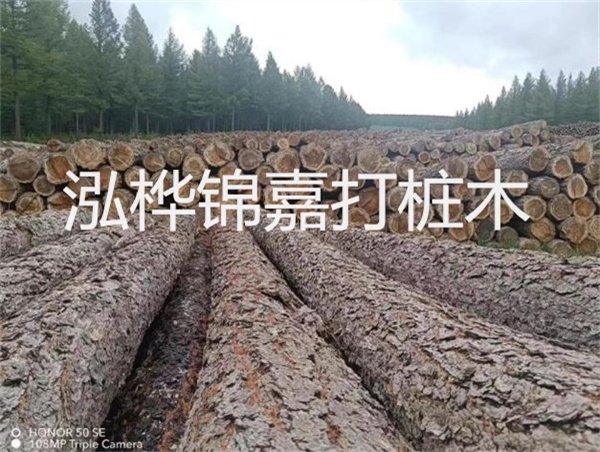 高效施工，圓松木樁助力建筑工程進展順利