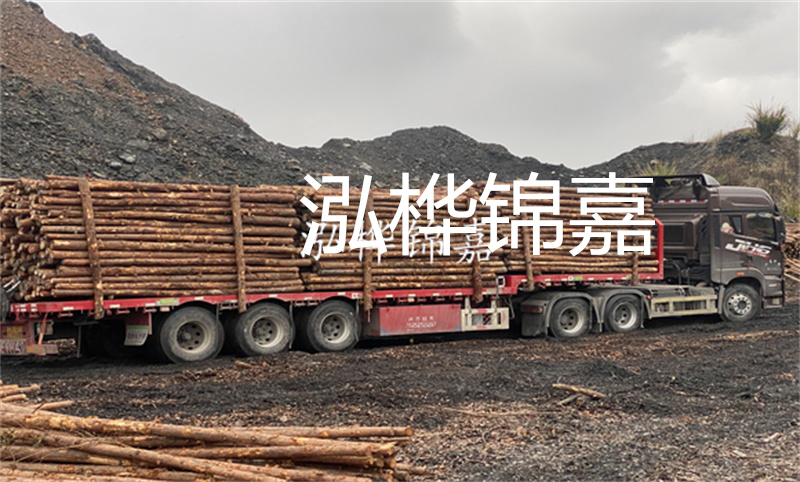 大理松木樁哪里賣？選擇合適的松木樁來保護(hù)你的建筑